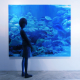 Image for article titled These Painted Optical Illusions Are Amazingly Beautiful